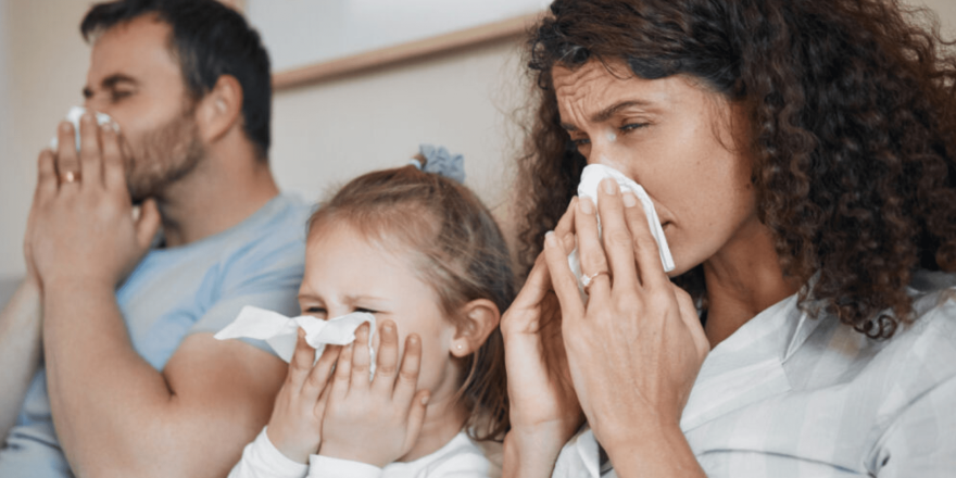 Influenza (The Flu)